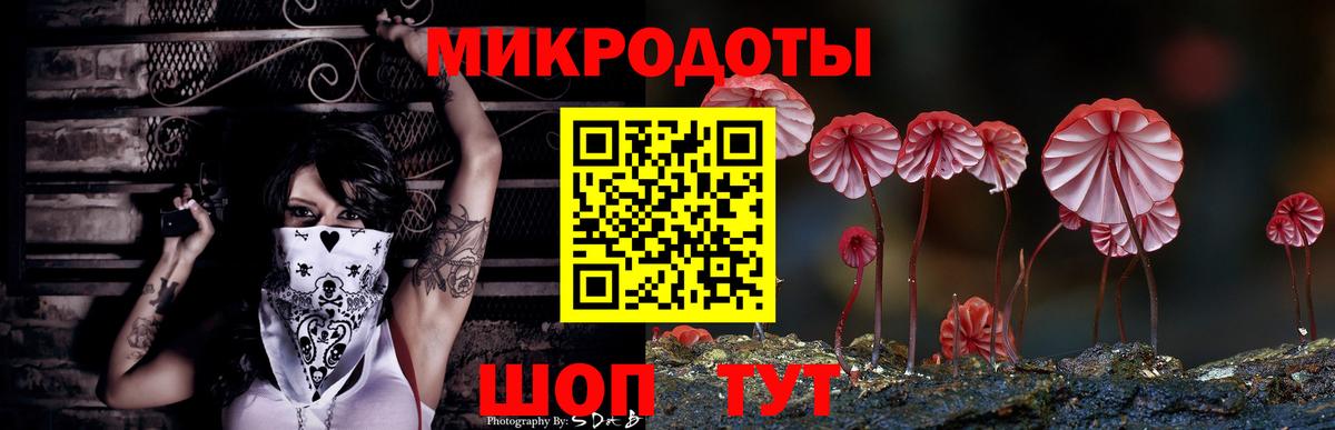 Галлюциногенные грибы прущие грибы Камышин